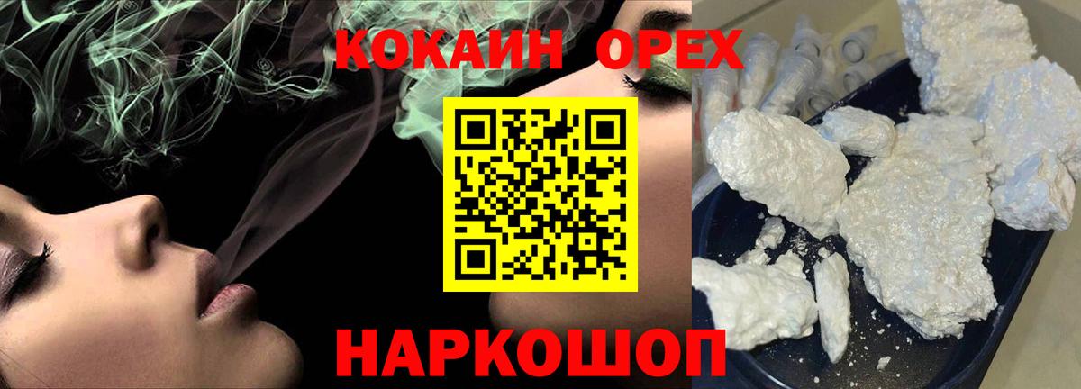 МЕФ Славгород
