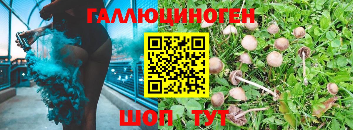 Псилоцибиновые грибы Psilocybe  Вход с VPN  Славгород  Галлюциногенные грибы Cubensis 